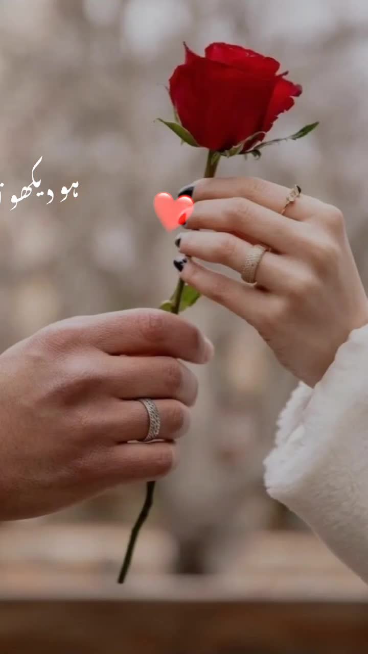 @💔Alone shehzadi 💔
