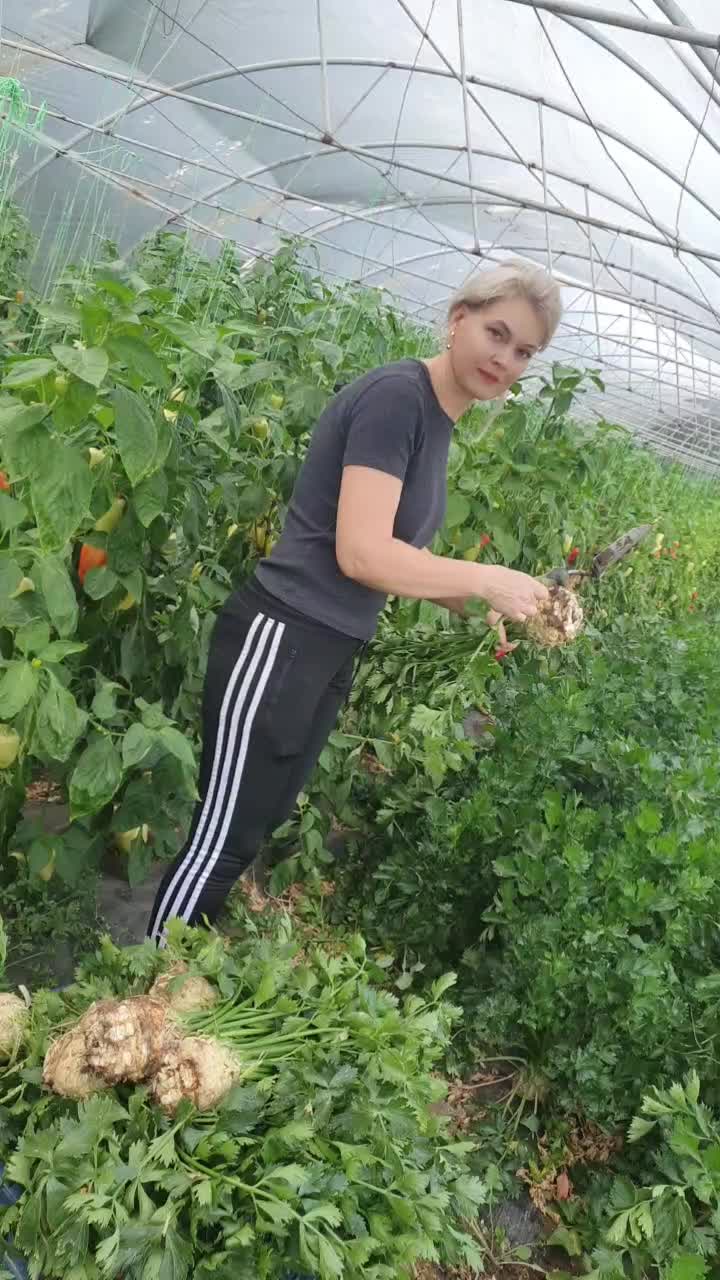 @FERMA VESELA