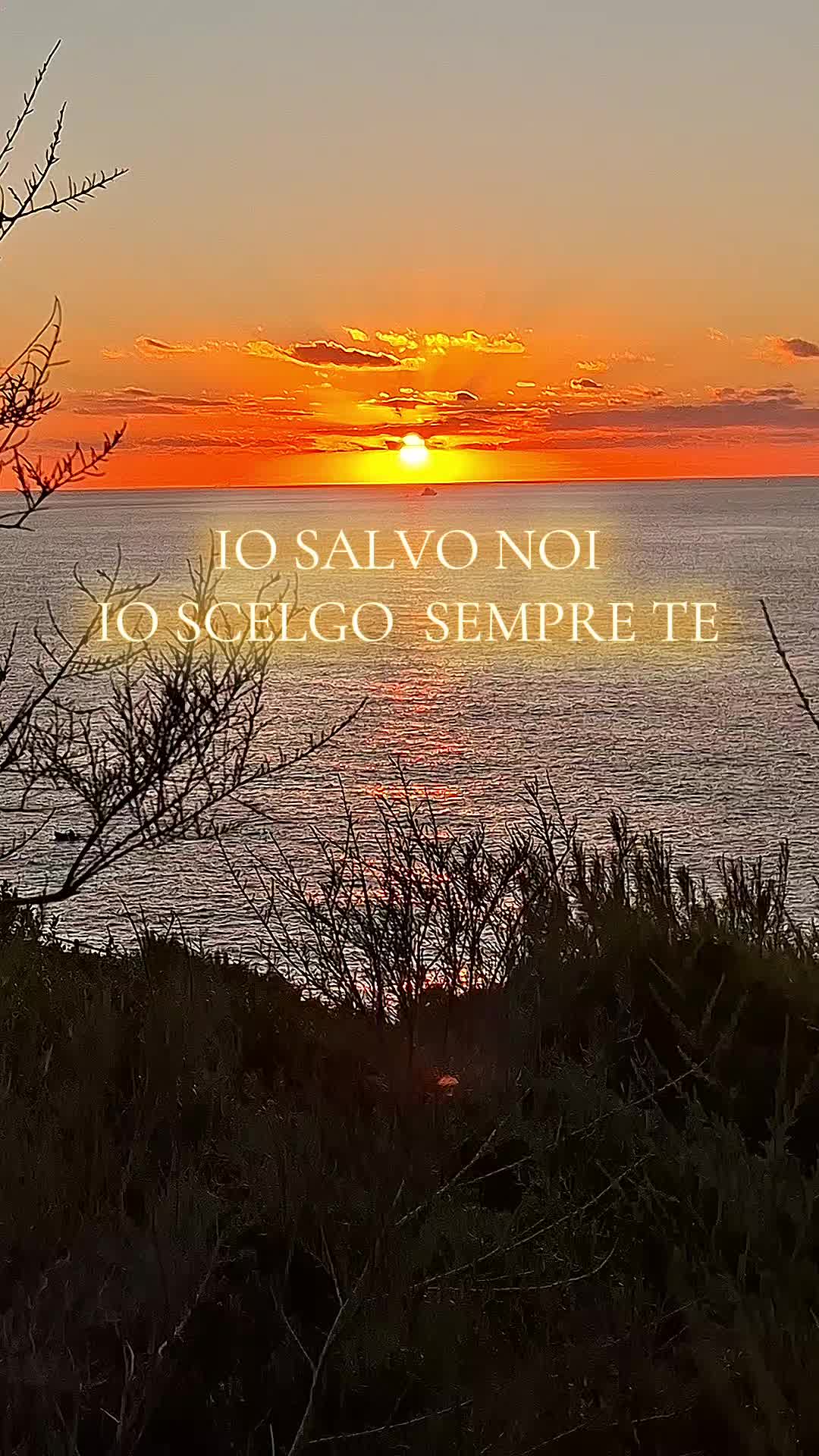 @GJUSE 🌱 ⏳️