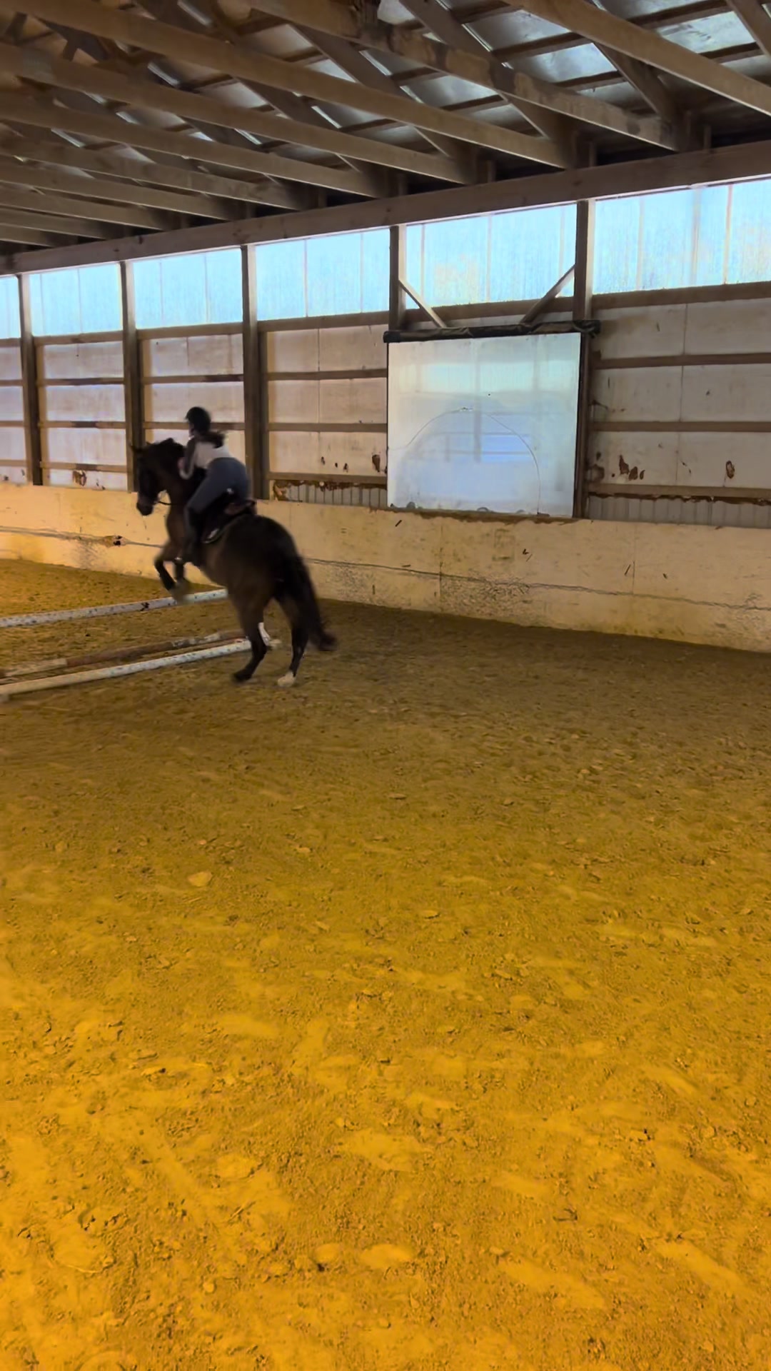 @Aftyn 🐎