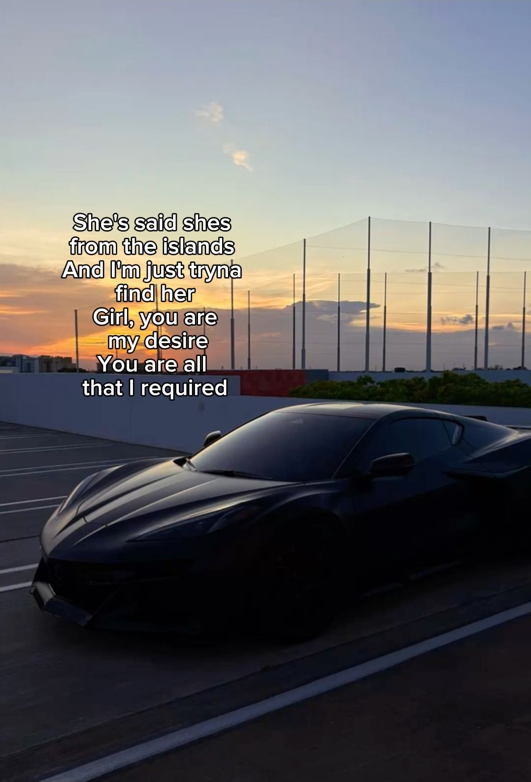 @𝟑𝟎𝟑 𝐃𝐢𝐧𝐨.