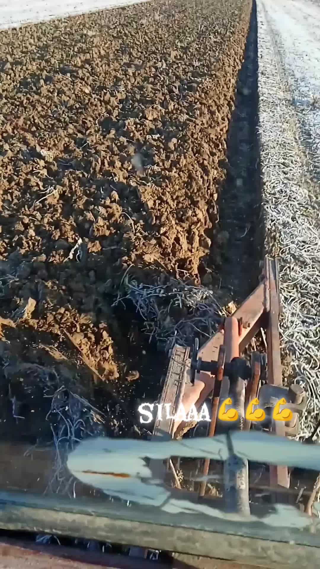 @aleksa