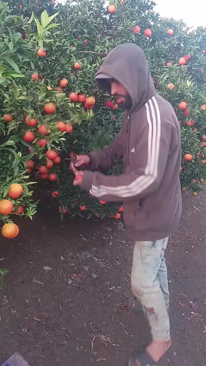 @تاوناتي في الغربة