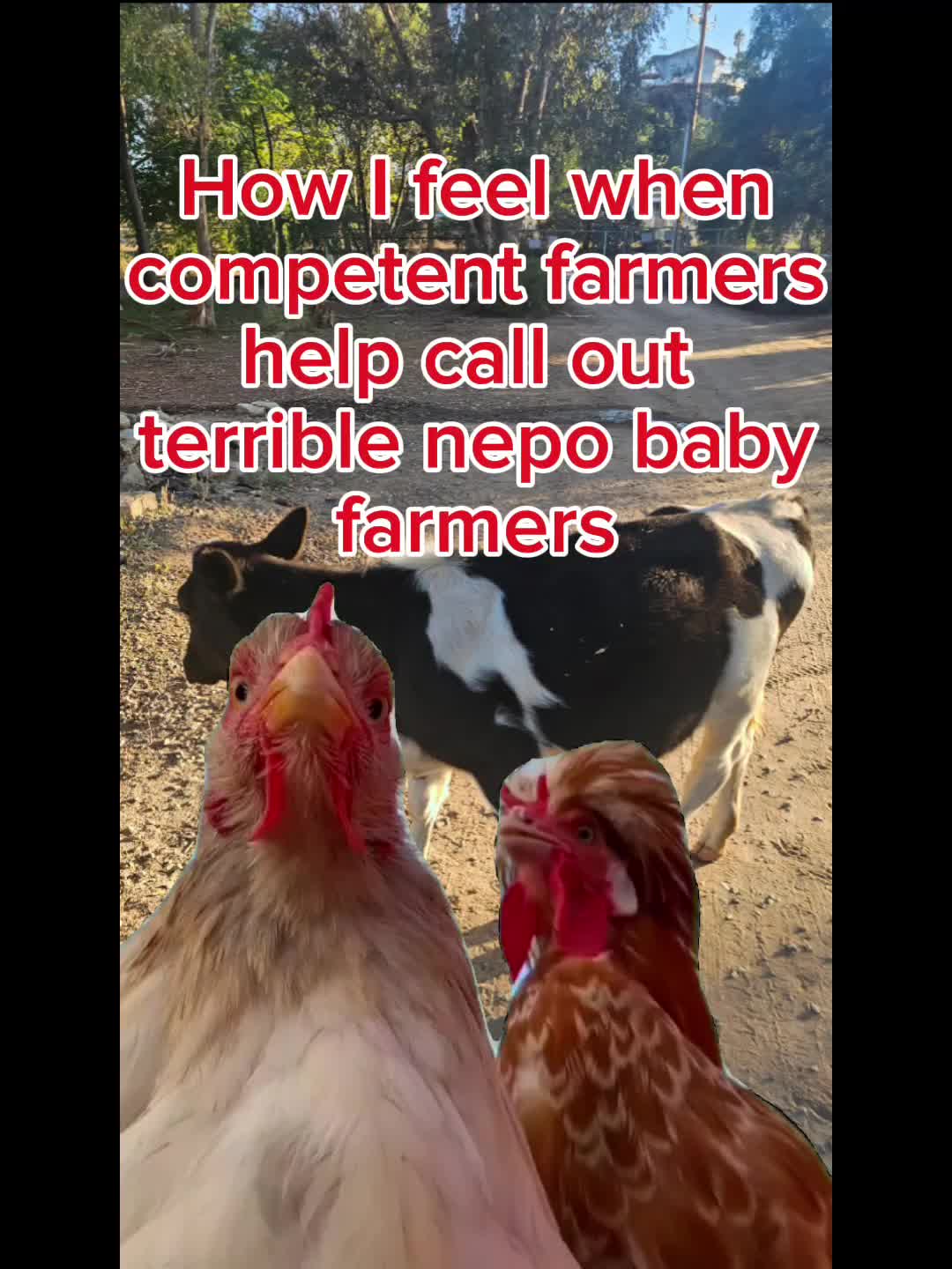 @Echo Bravo Ranch