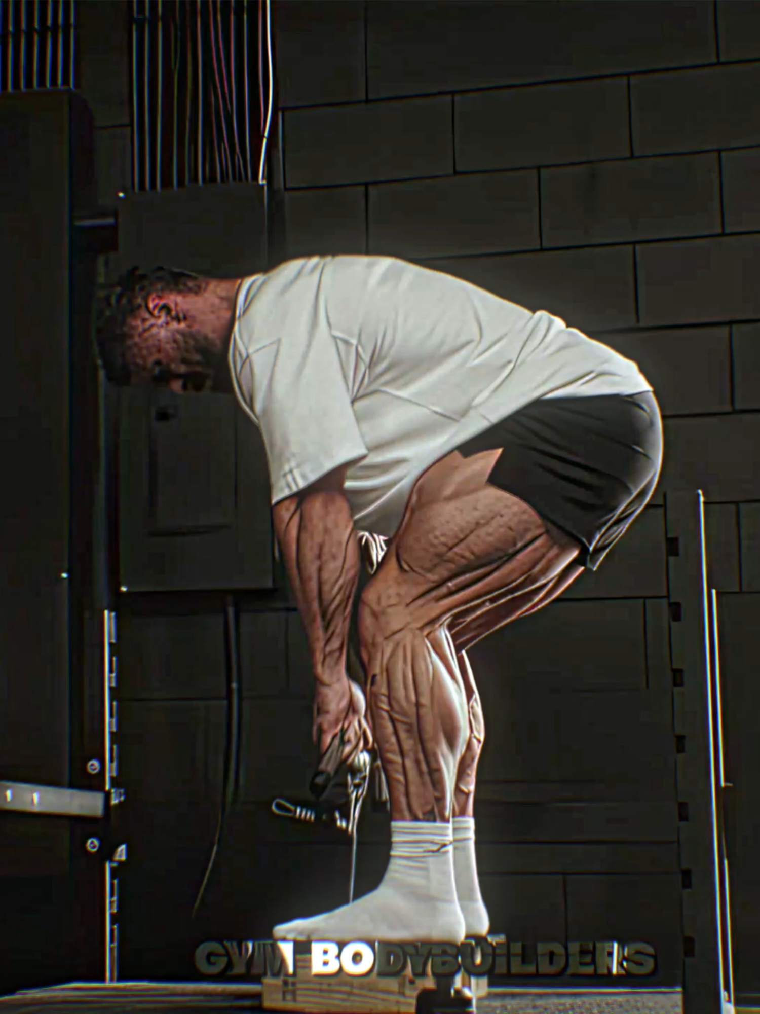 @Gym Bodybuilders