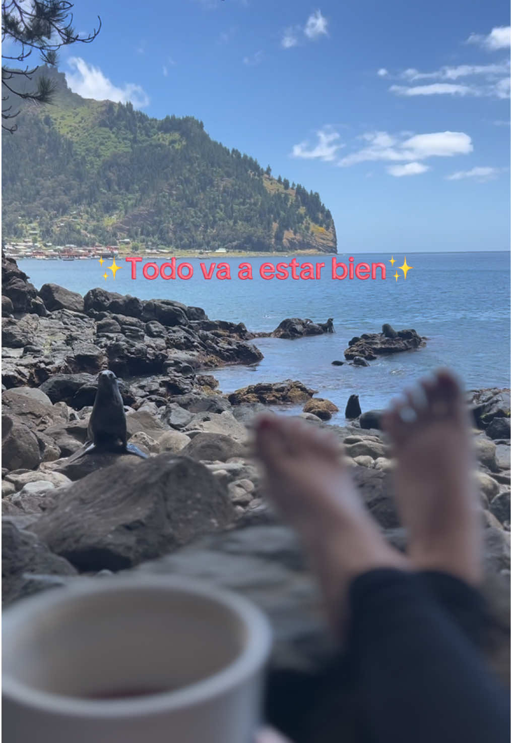 @rorocorrotea