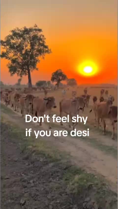 @بنجاب