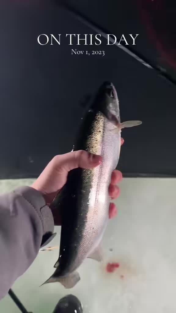 @Jared fishing BC