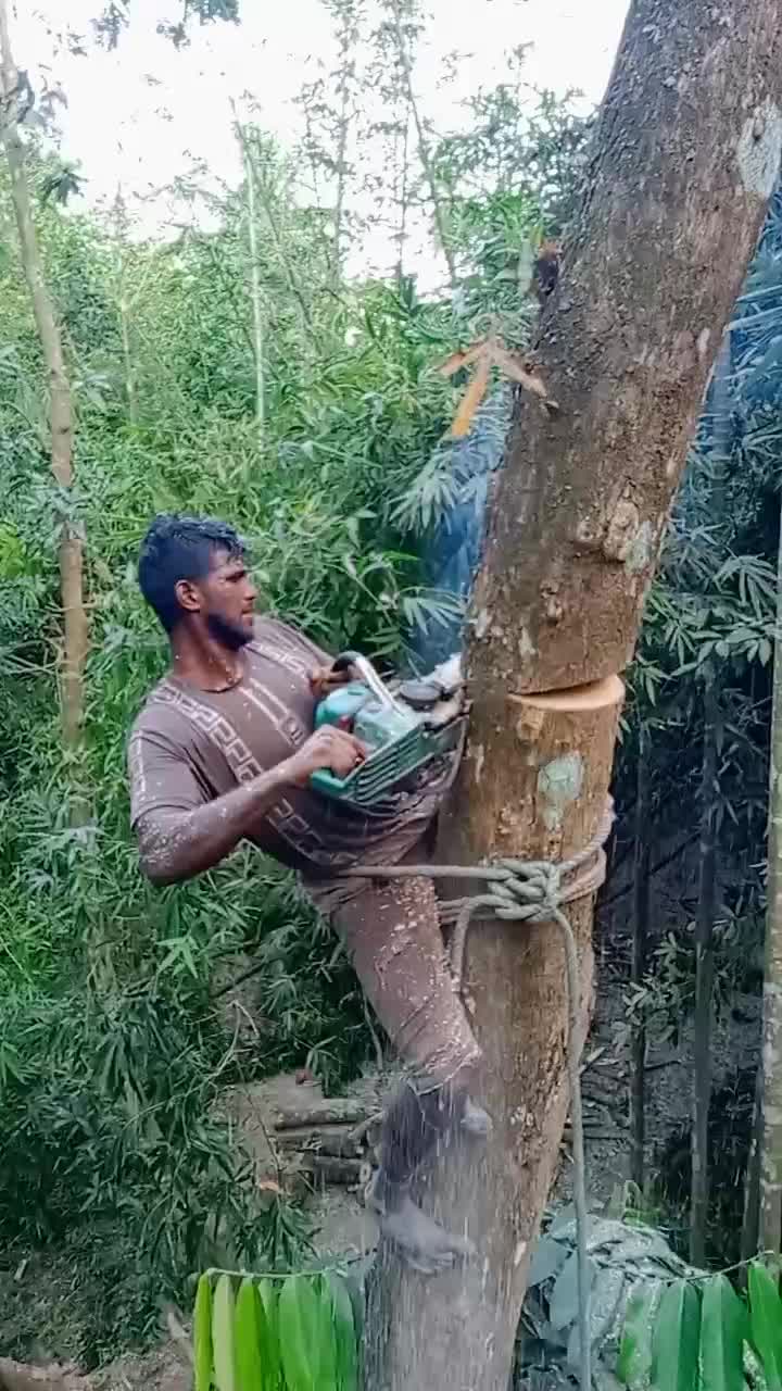 @যশোরের পোলা