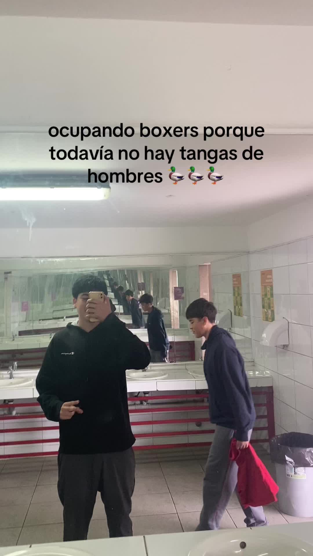 @Zam_zxl