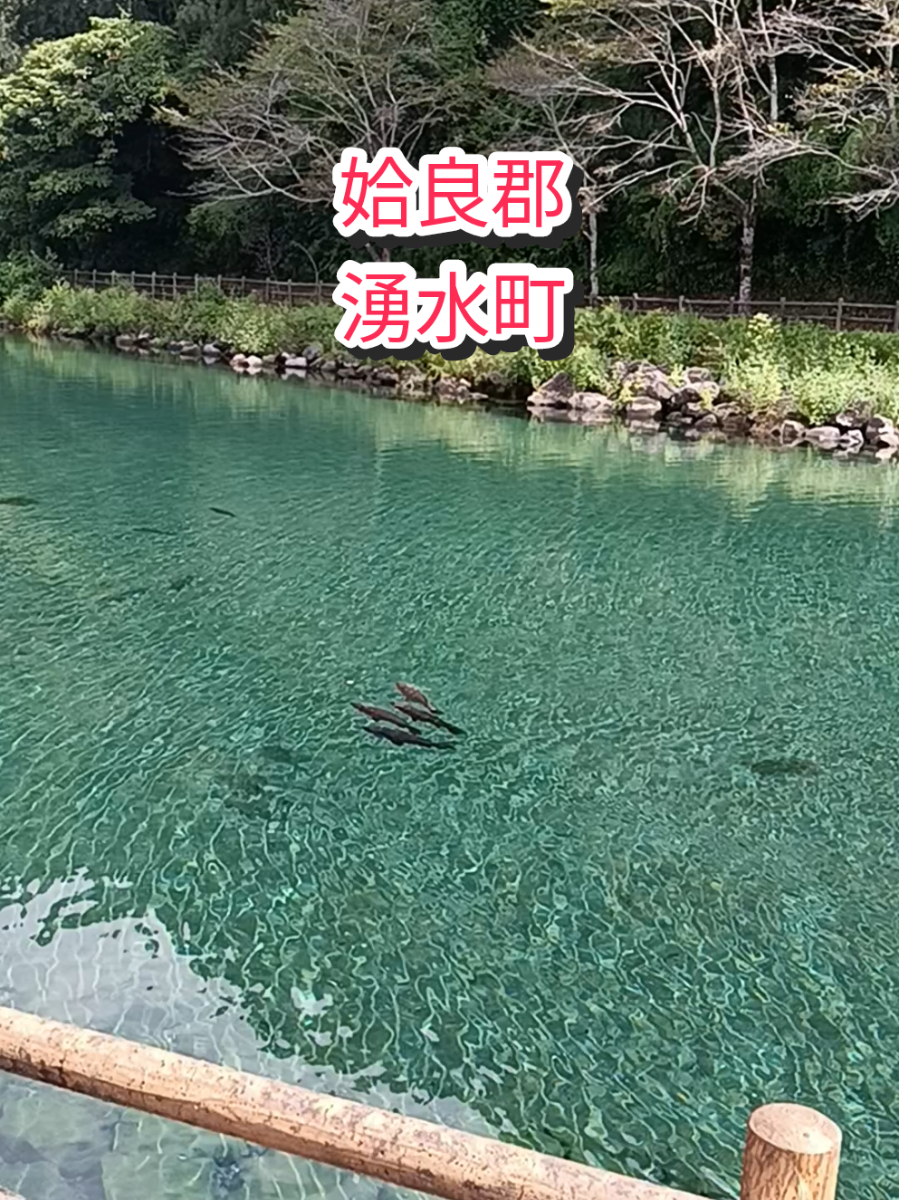 @ぽんこ  🐾