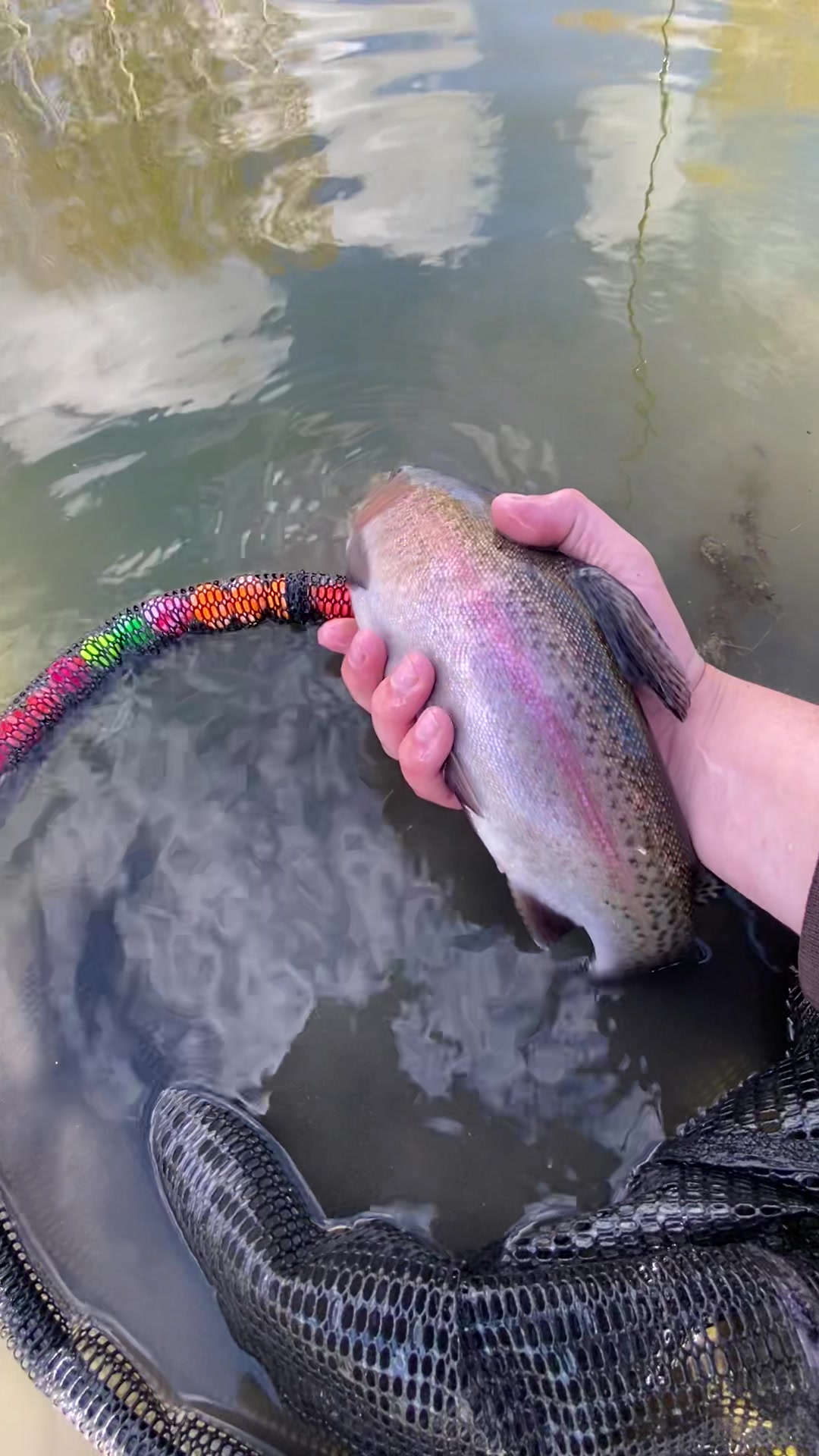 @Jared fishing BC