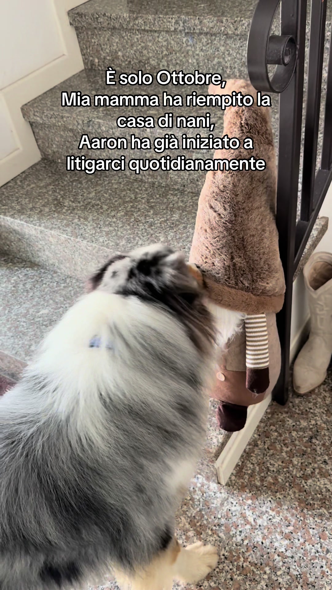@Martina
