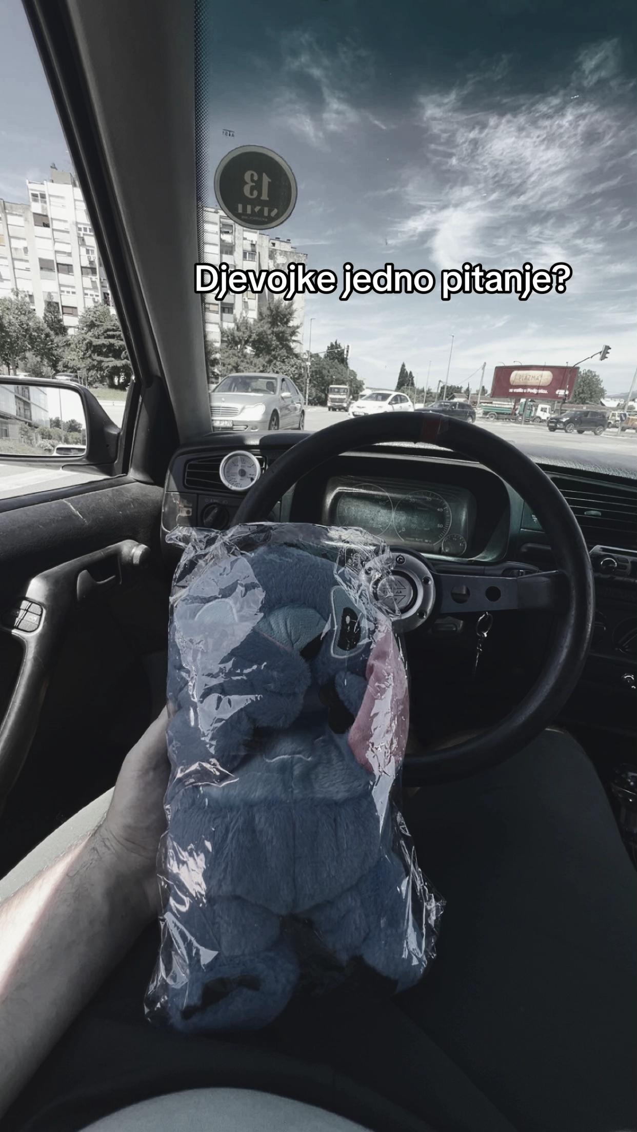 @Paljevic02