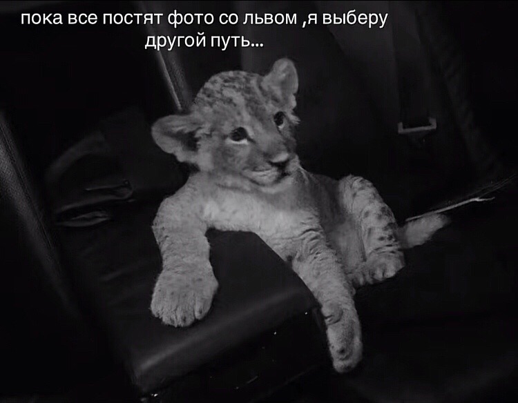 @https://t.me/vndks1