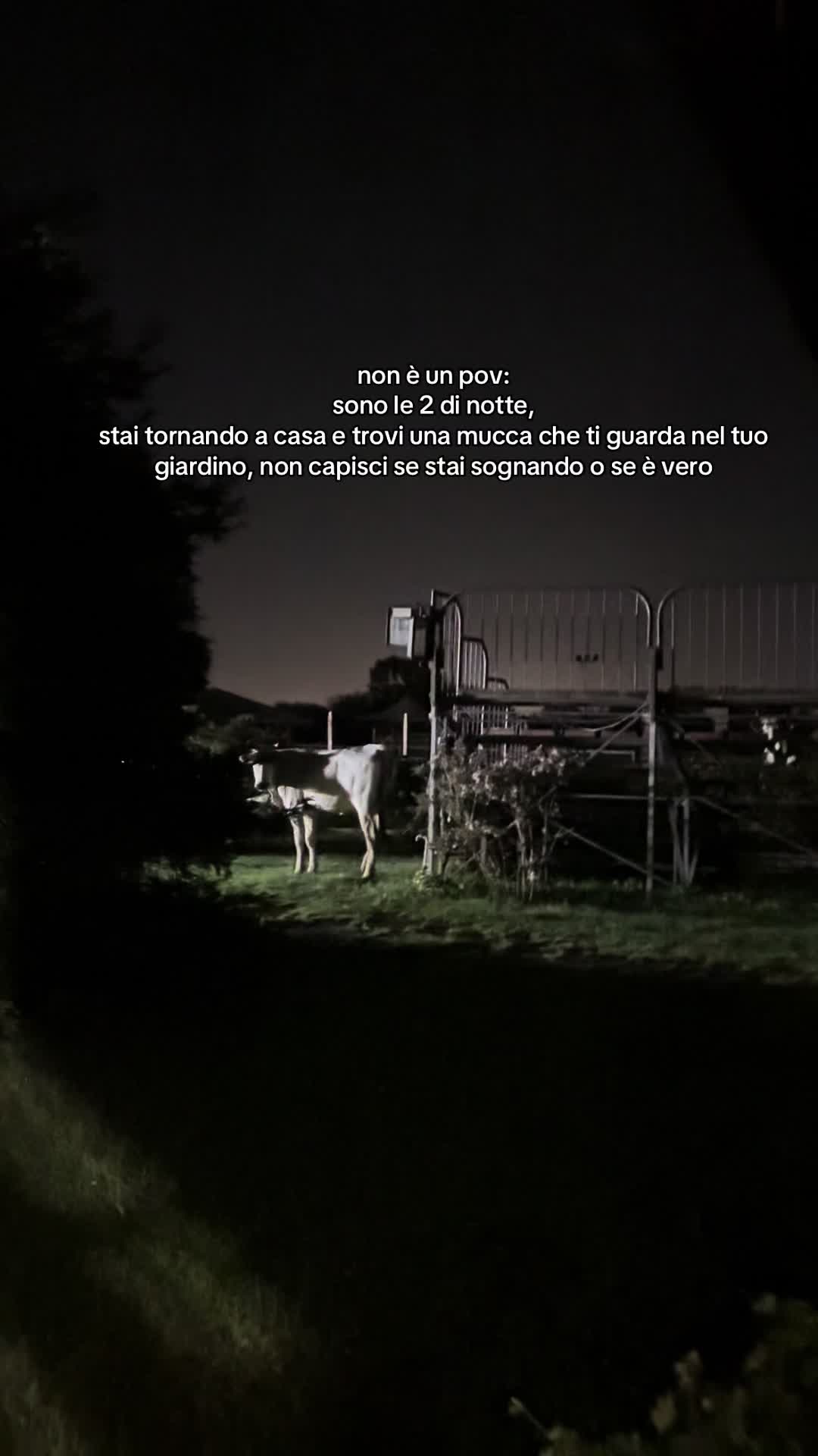 @ESTHER CAPPETTA