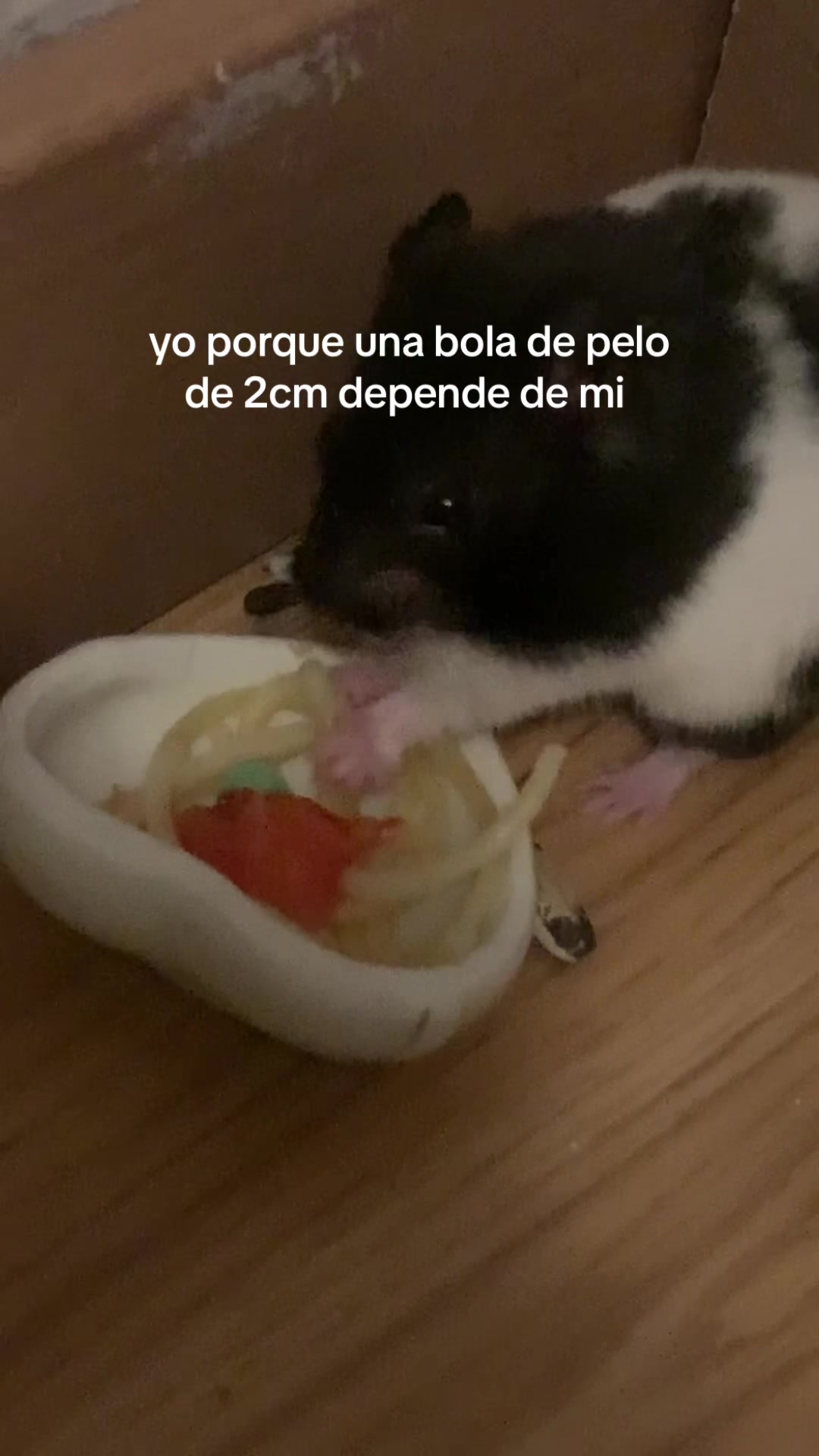 @bbycler