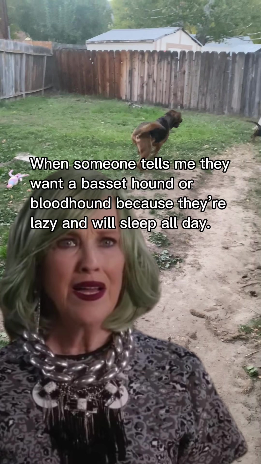 @ruledbyhounds