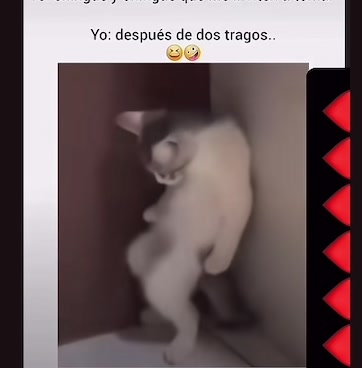 @𝐌𝐈𝐊𝐄