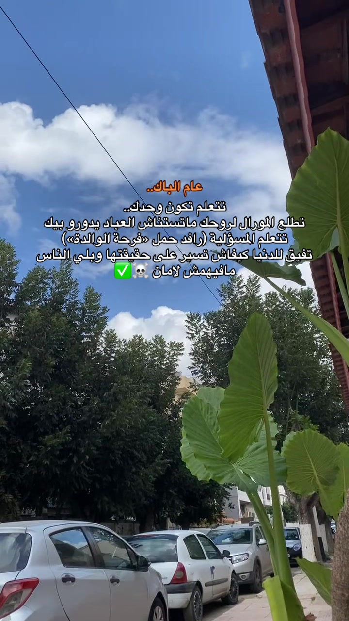 @Mehdi Mesloub