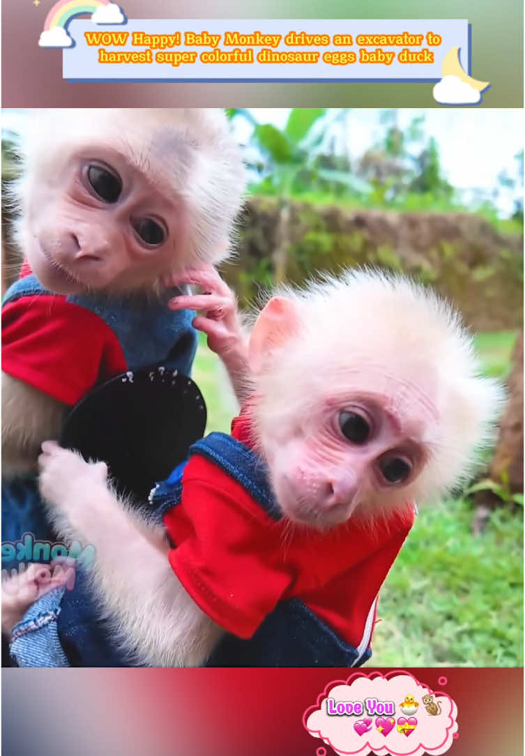 @Love animals cute