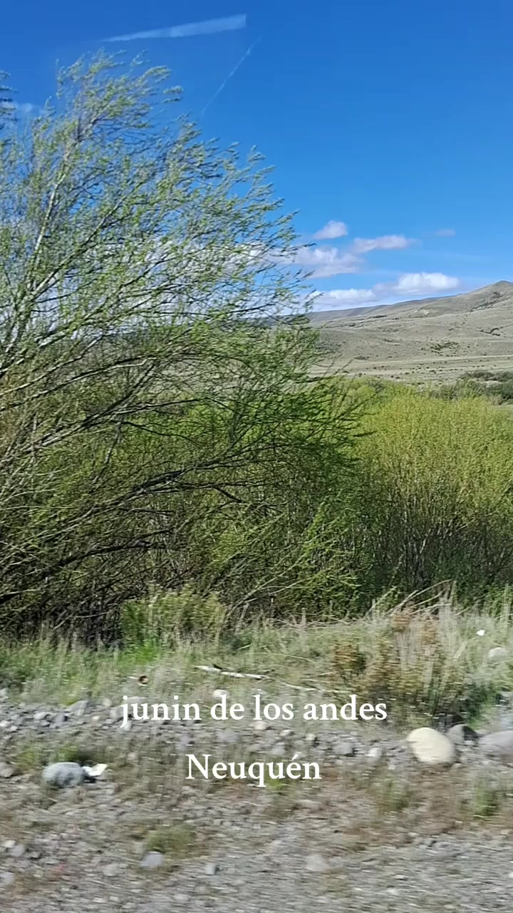 @DF14