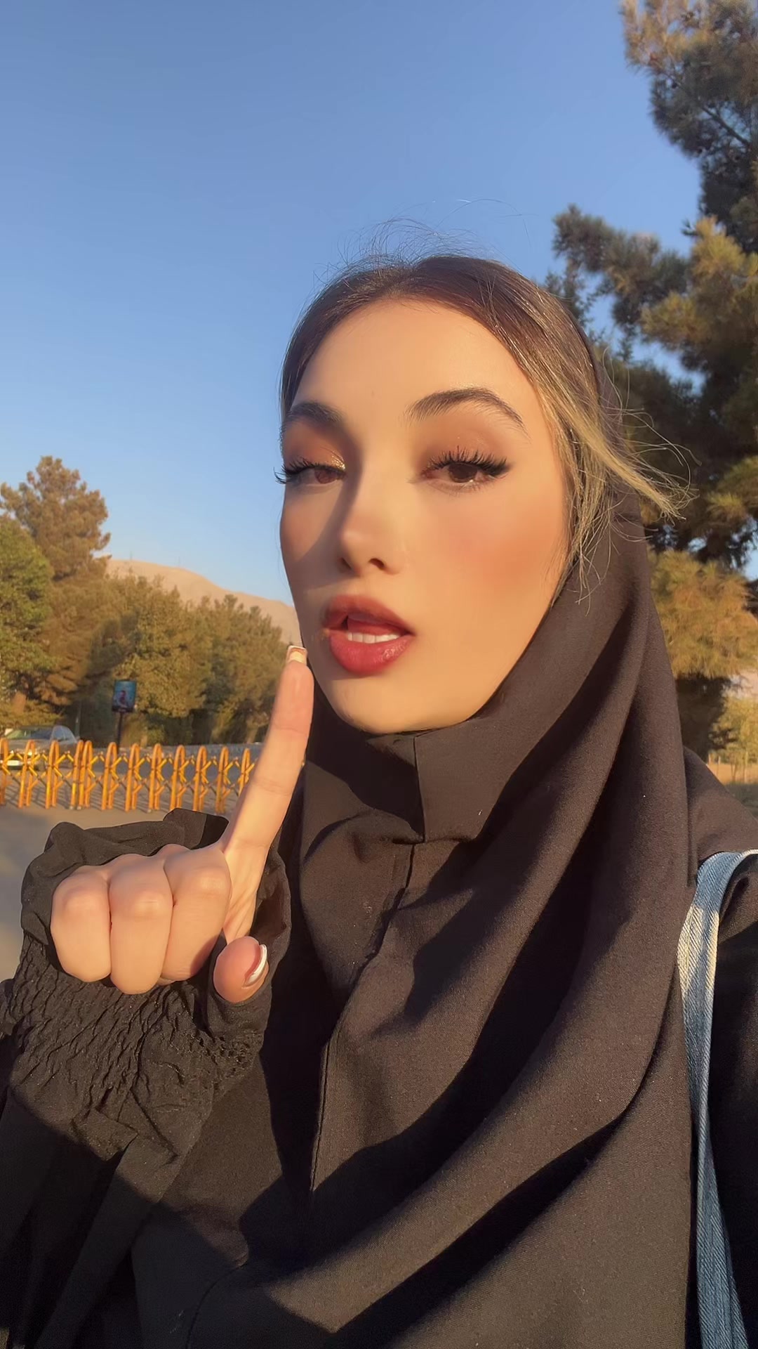 @Mehrsa