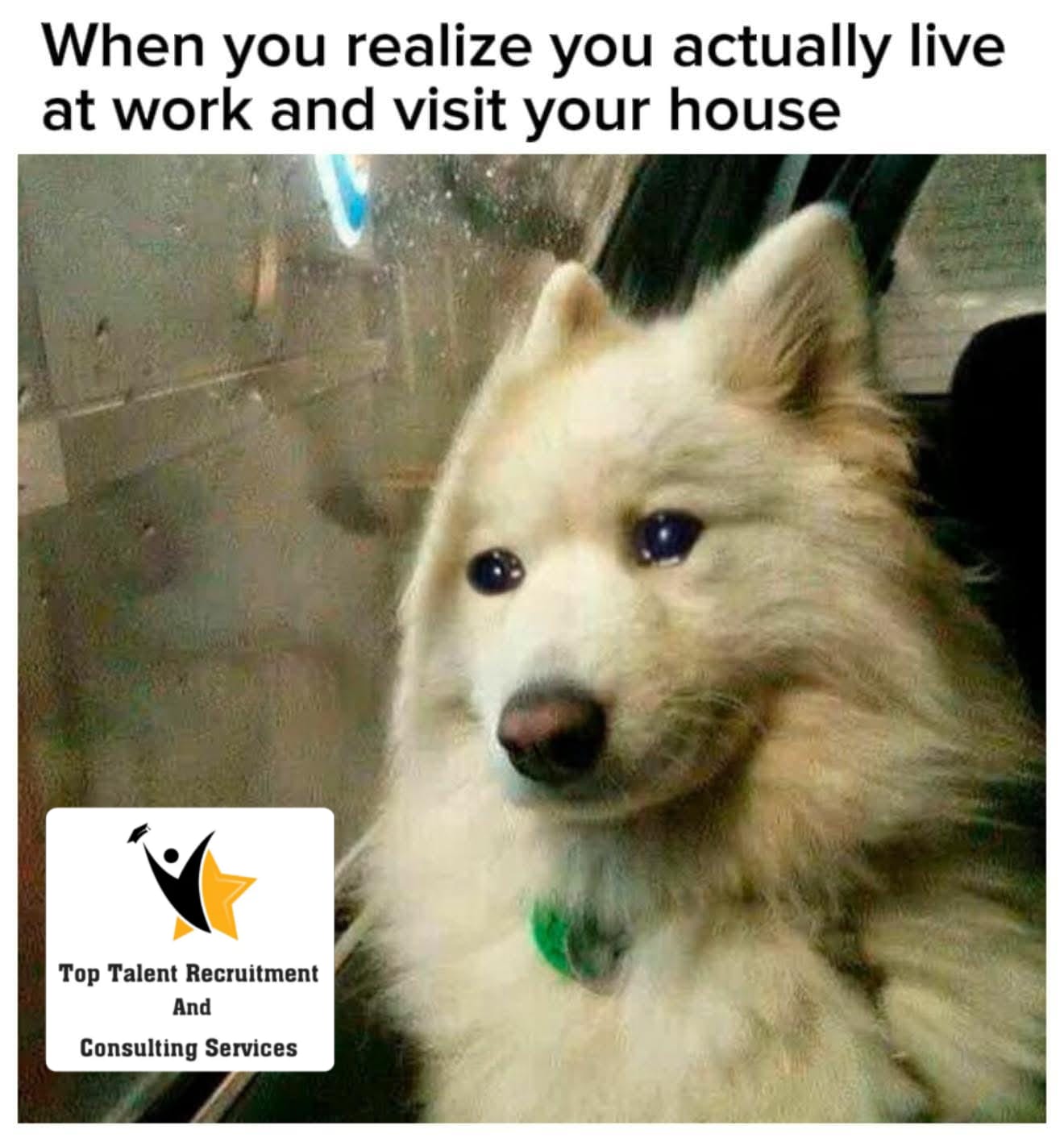@⭐️Top_Talent_Recruitment⭐️