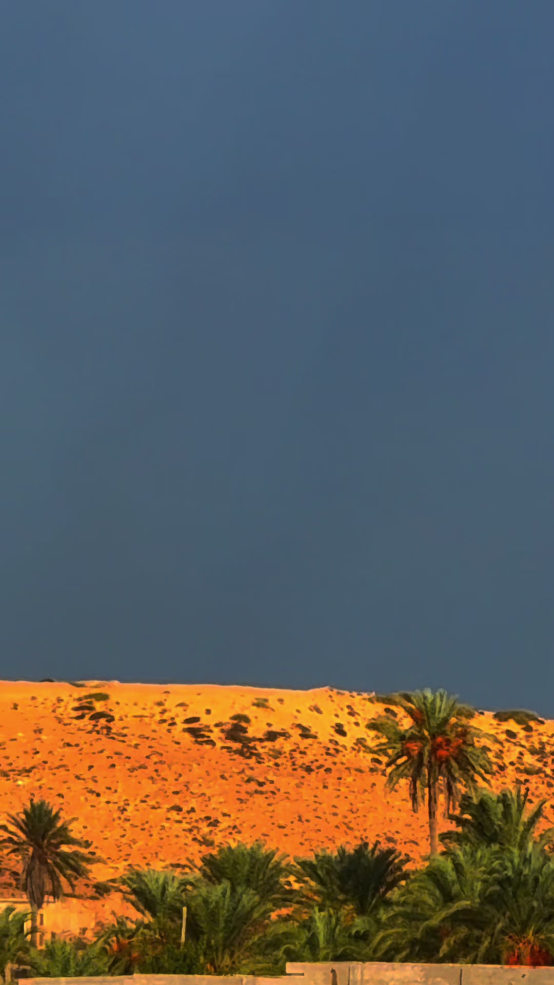 @وائـل🇱🇾