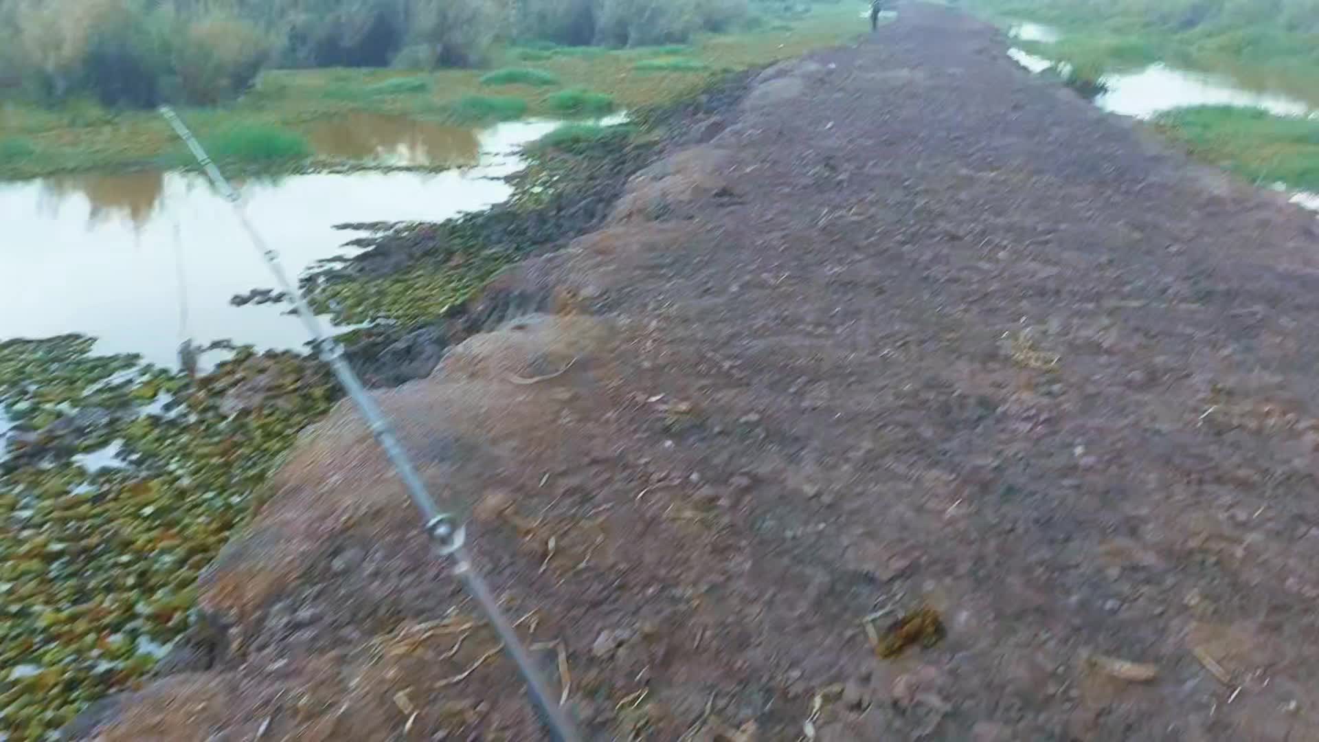 @TungFishing