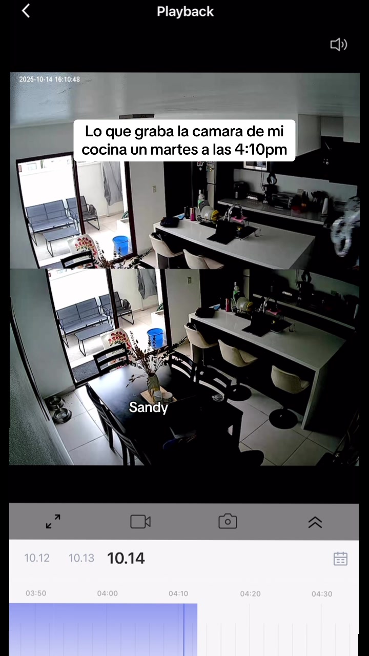 @Monica Hidalgo