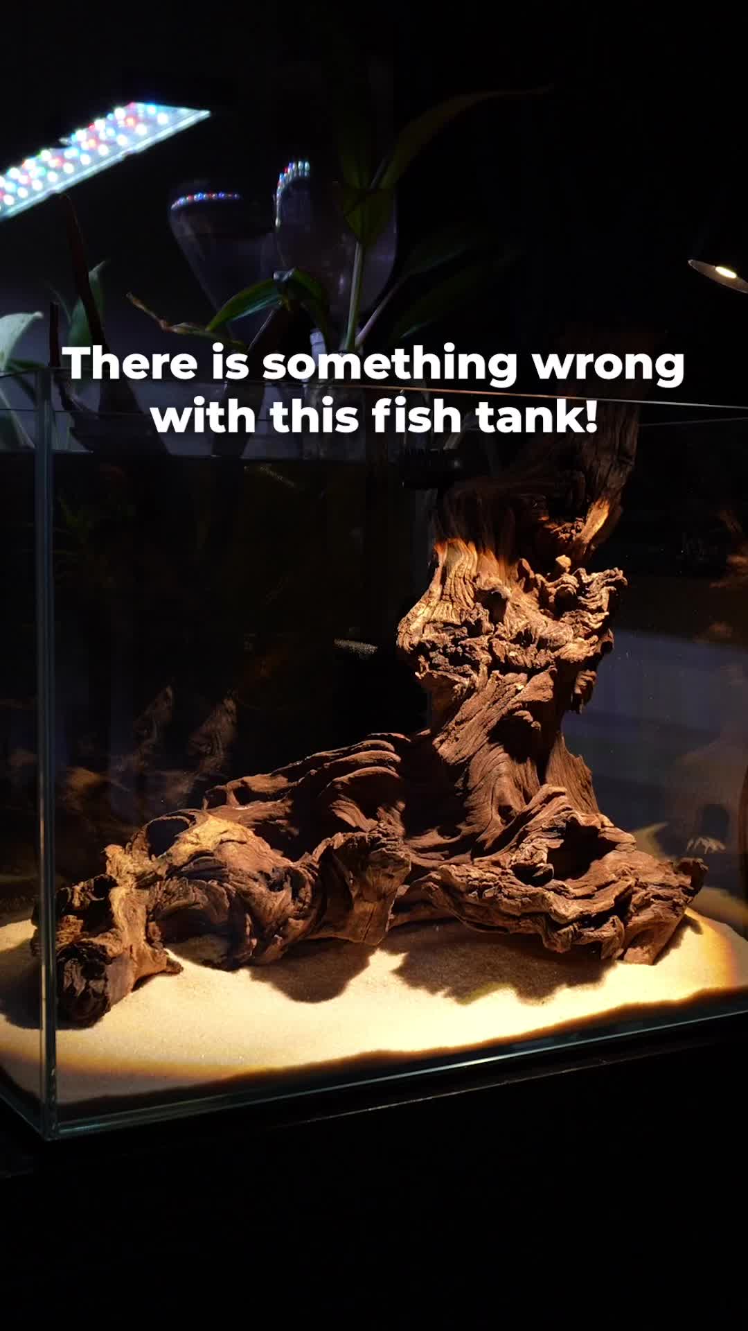 @tankinhabit