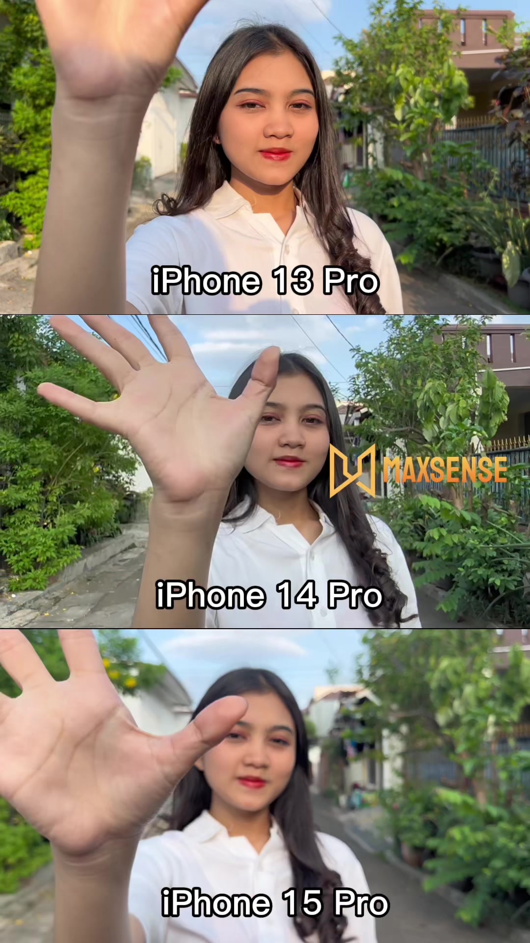 @Maxsense Store