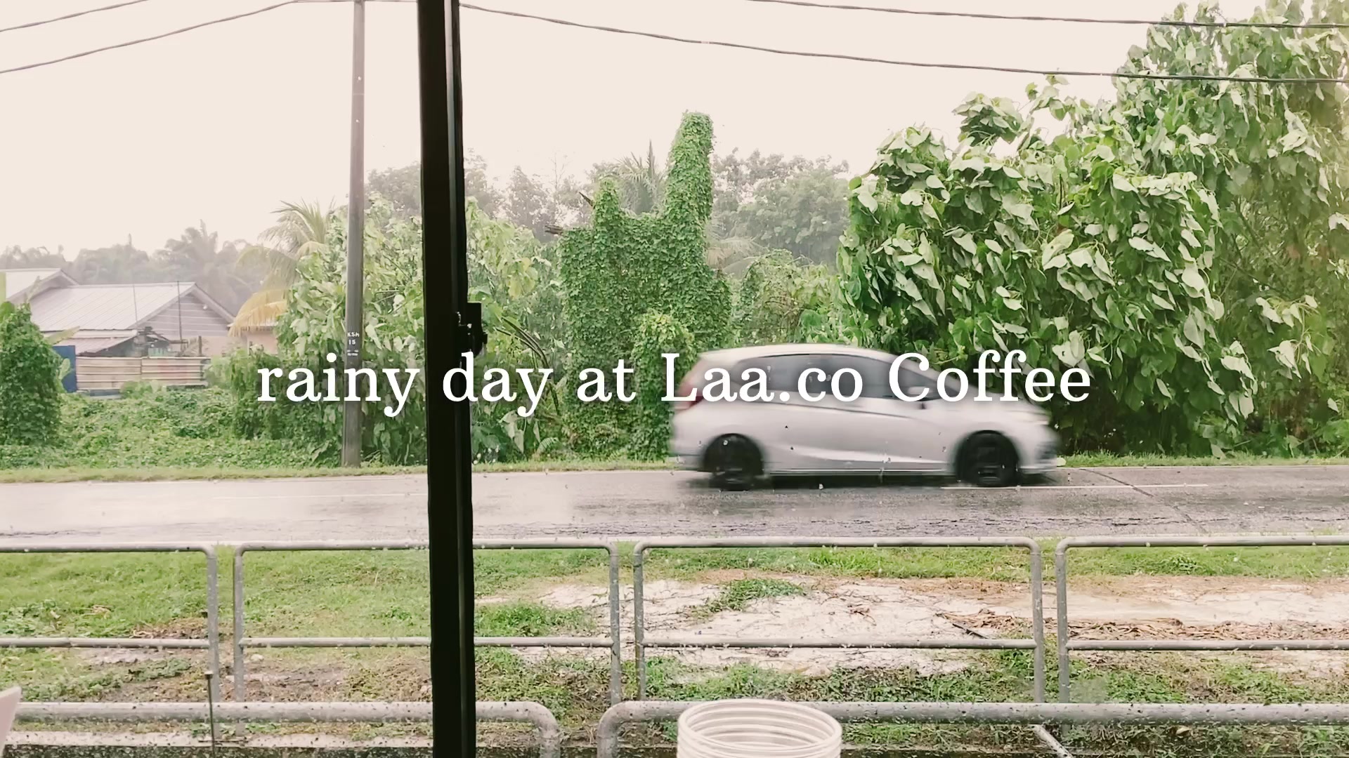 @laacocoffee
