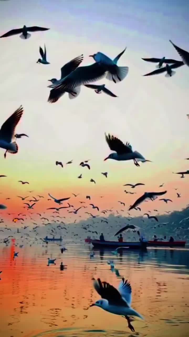 @ᦓꪀꫀꫝꪖ