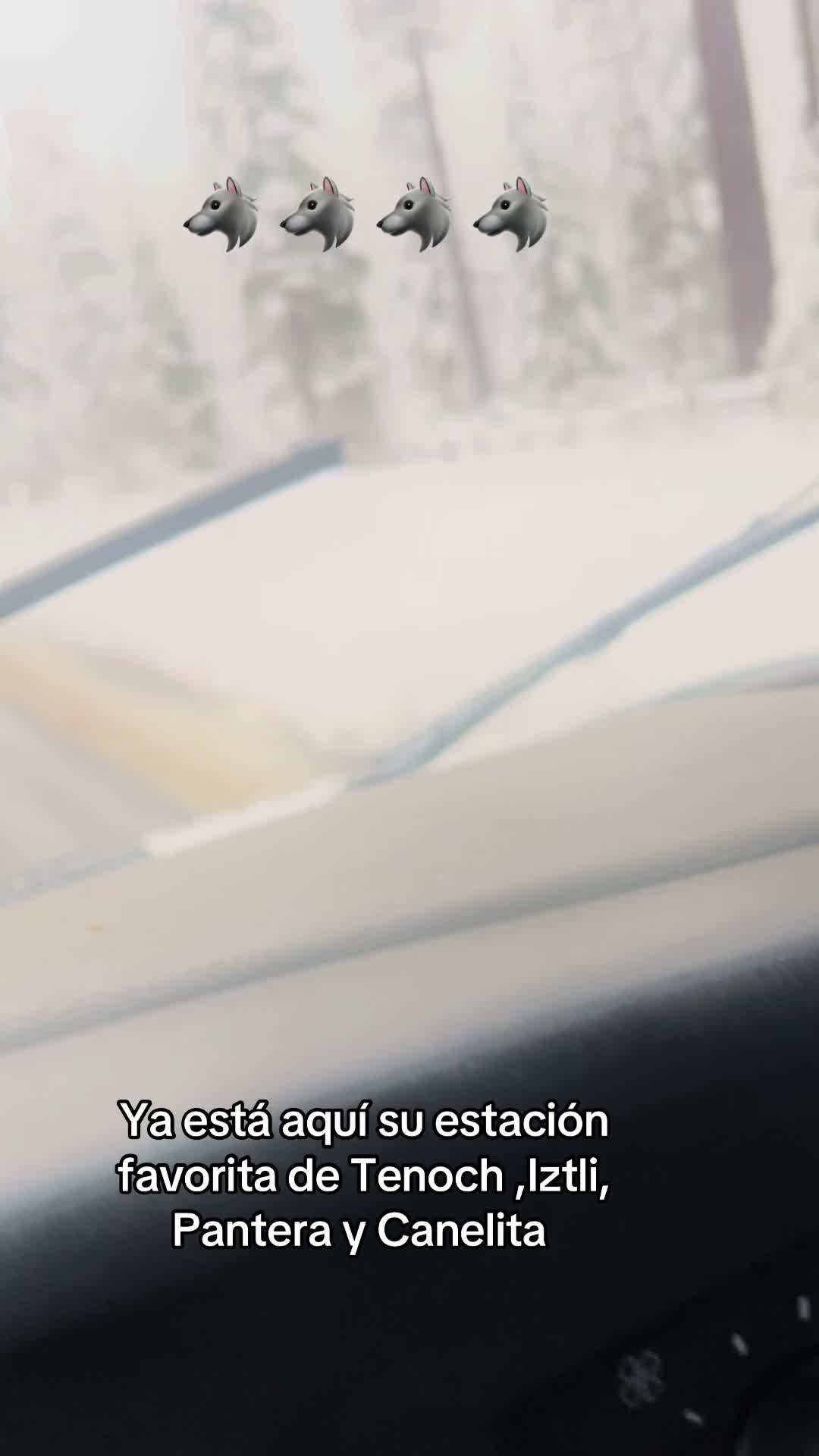 @tahoe_caluph_usa