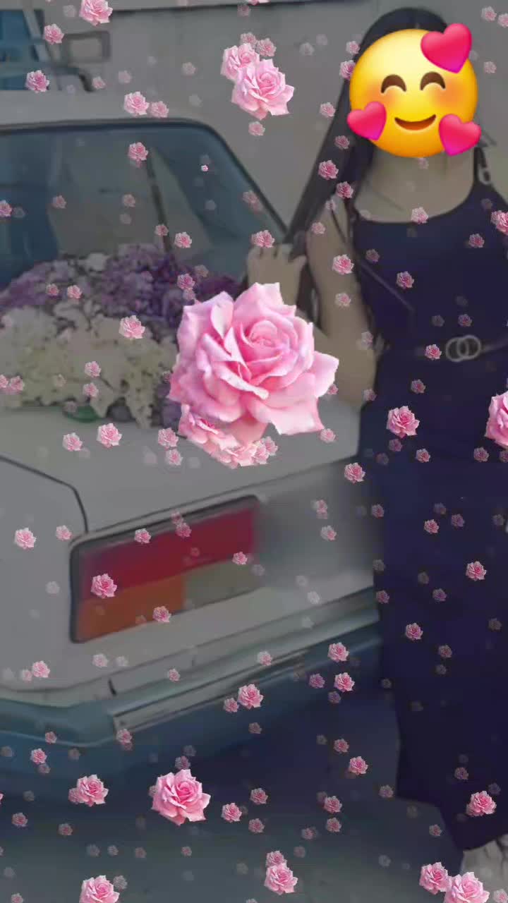 @user15981761905