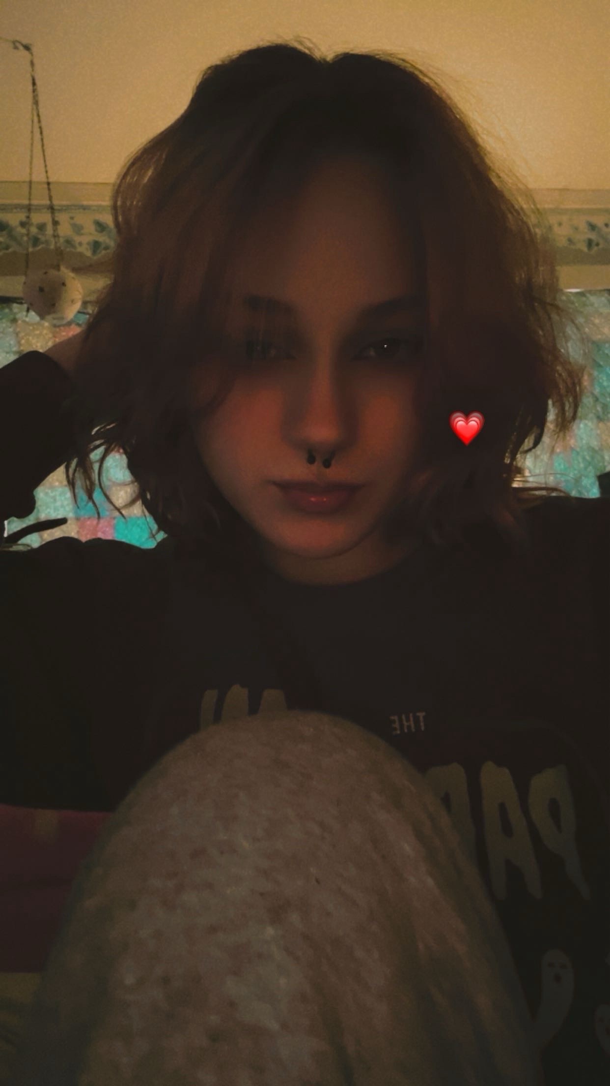 @ham.sammiich