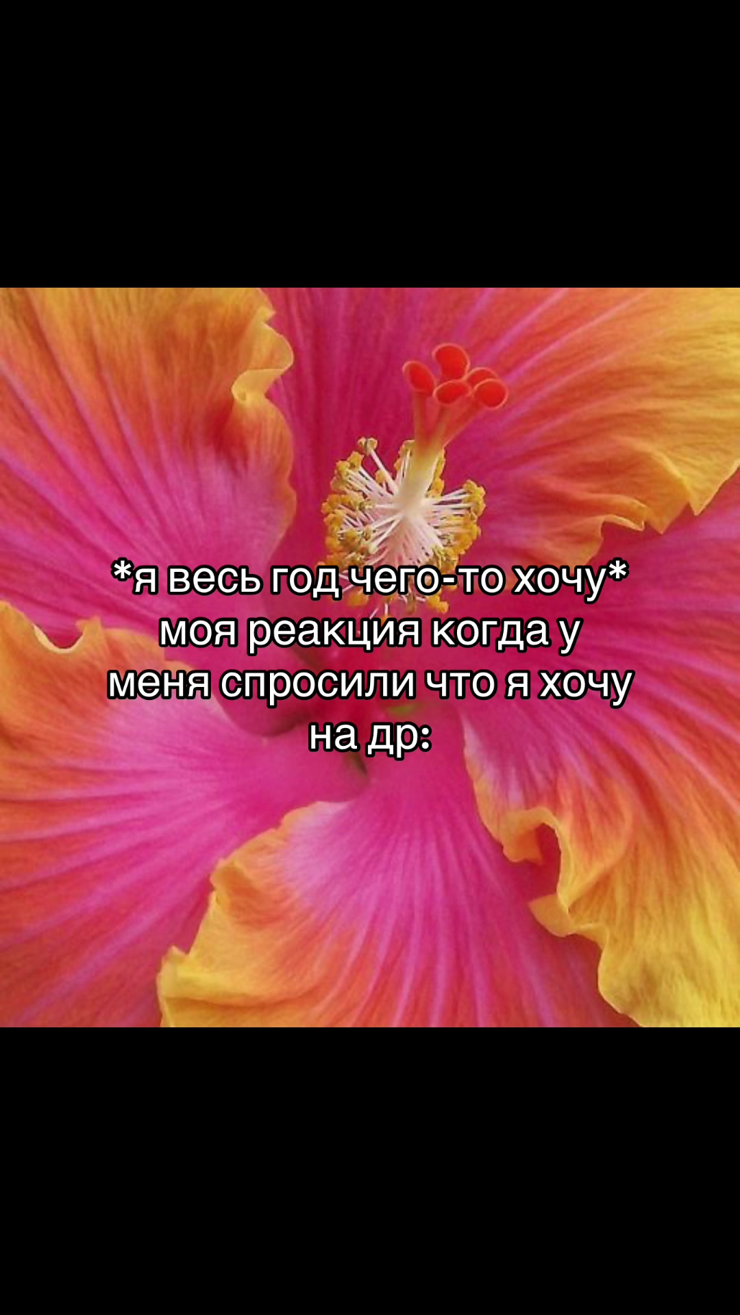 @апекз (apeekz)