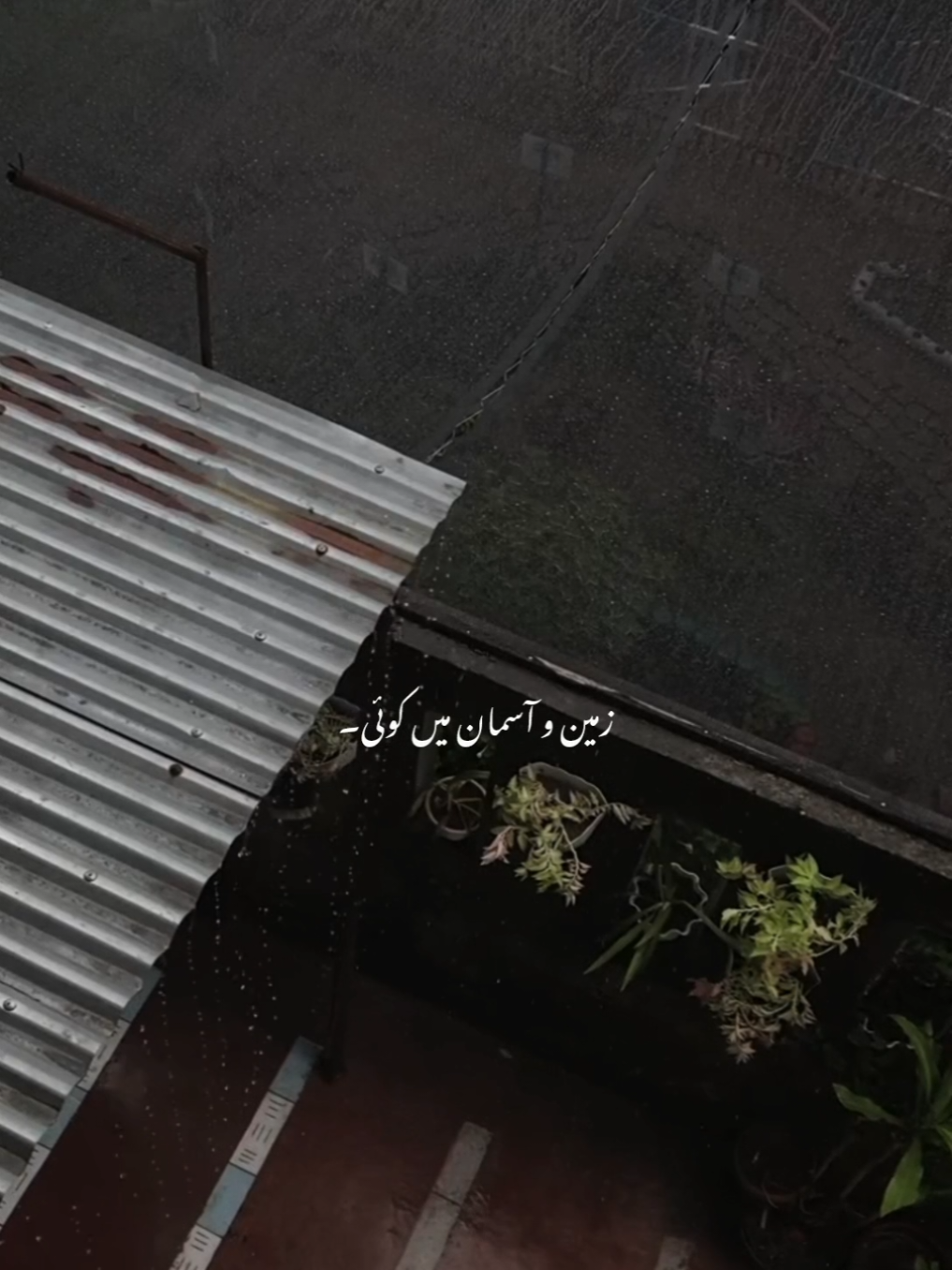 @س🦋