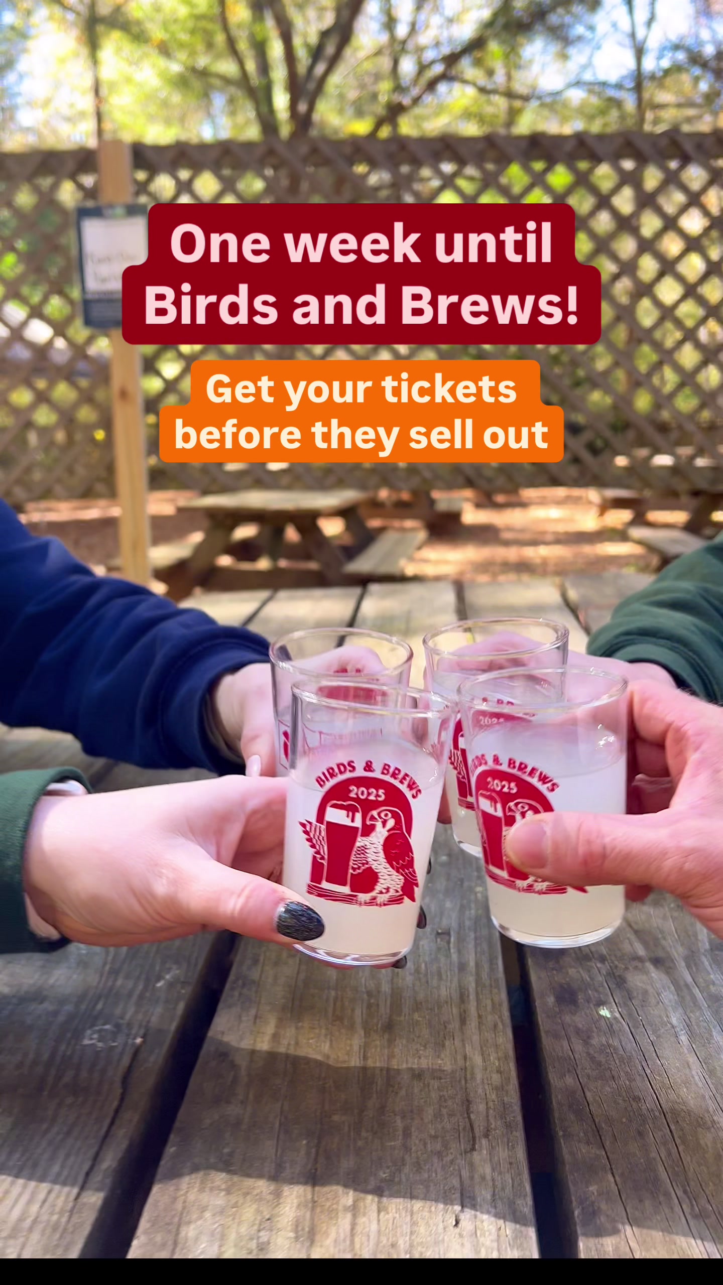 @Carolina Raptor Center