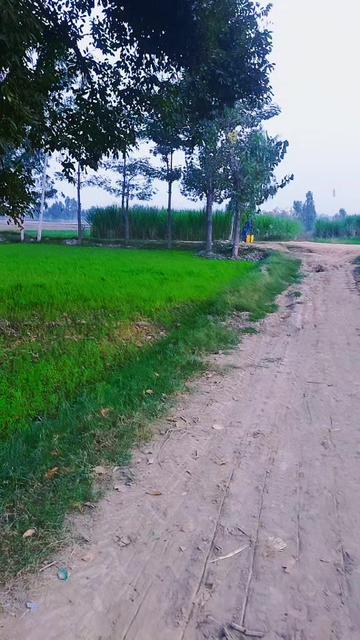@ch Khizar Hayat jutt