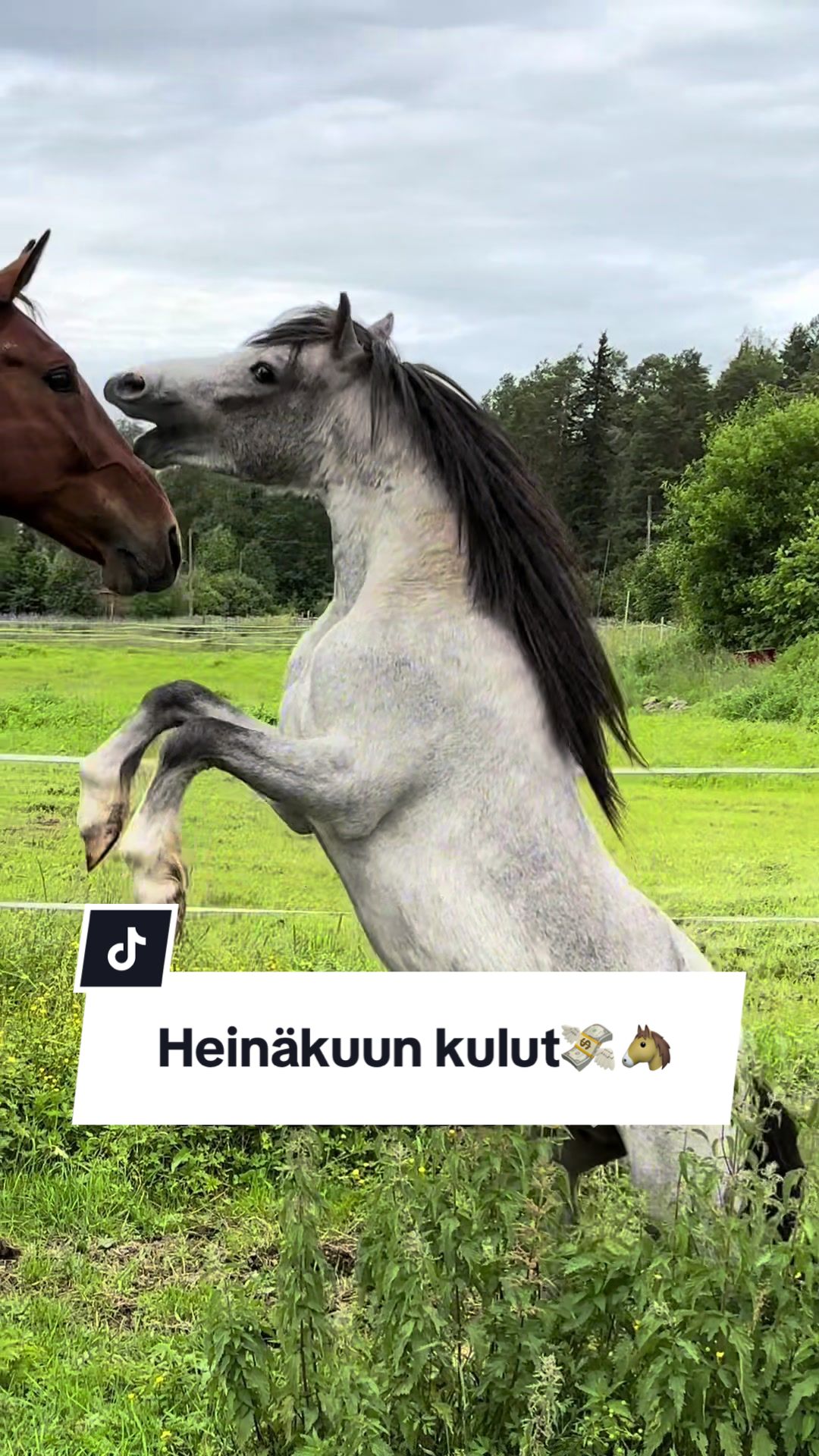 @Mansikkamäki Eventing