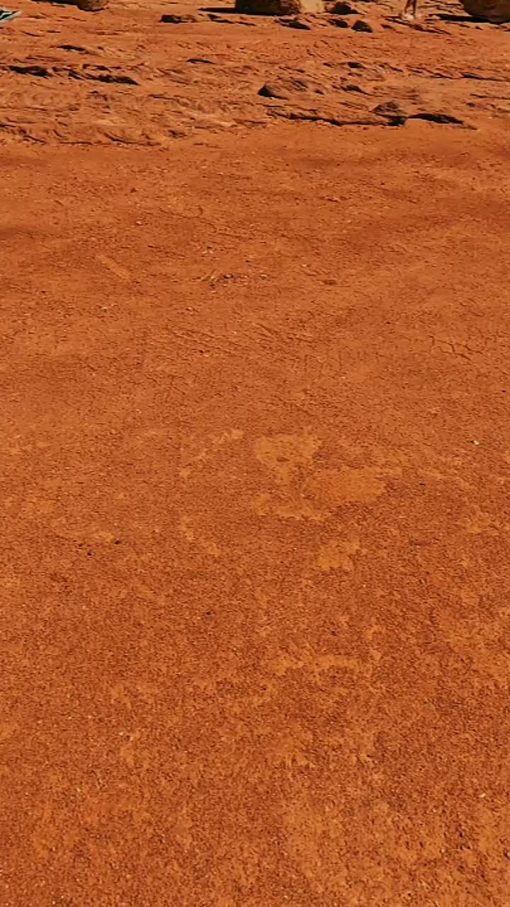 @ckdoc6