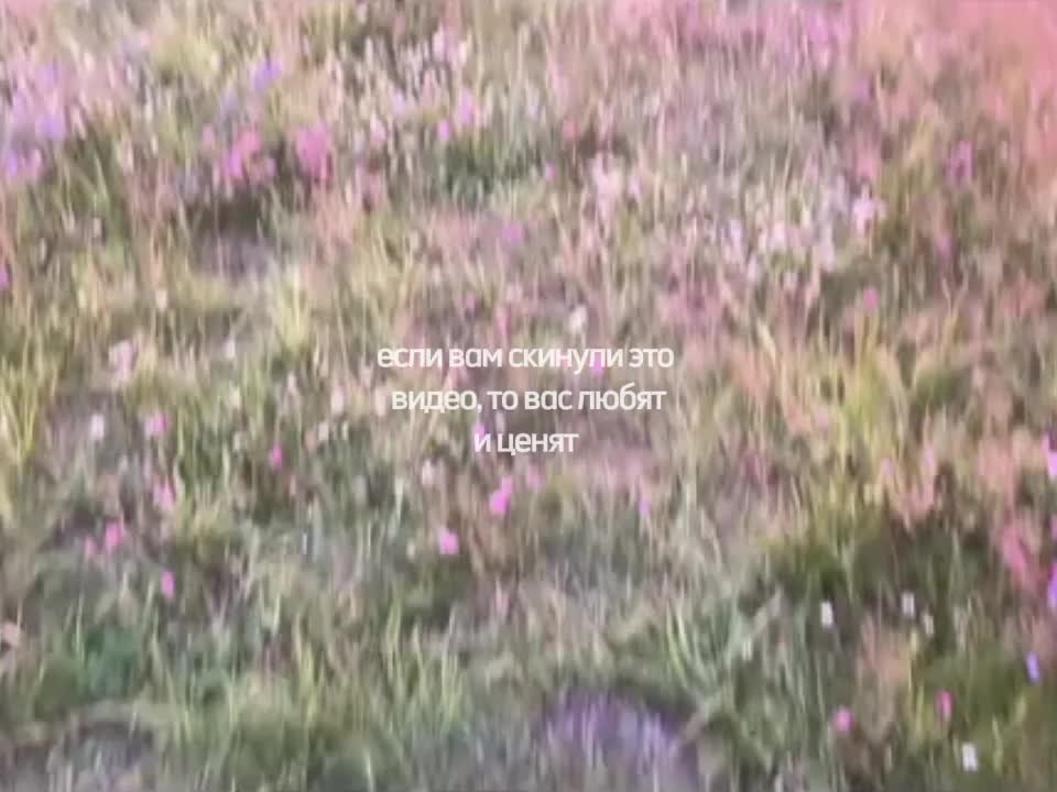@щп
