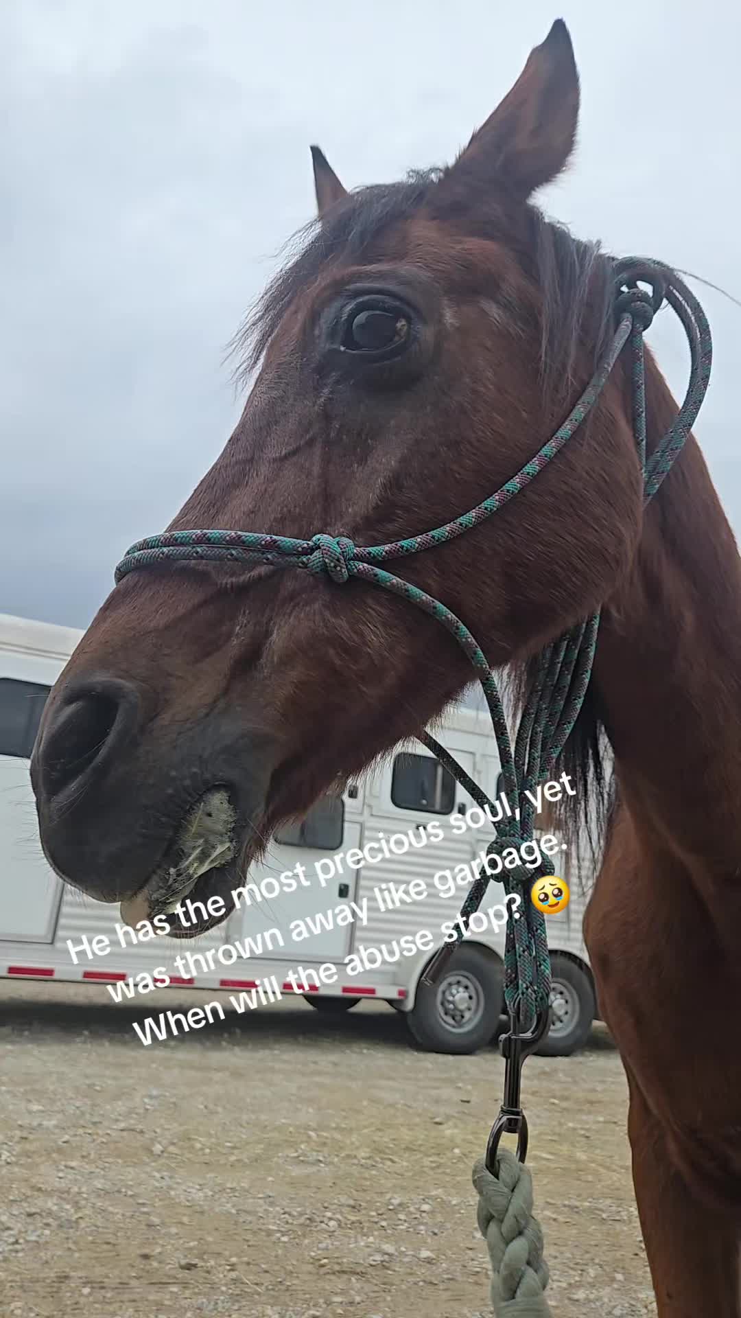 @Fonzy's Farm Rehab & Sanctuary