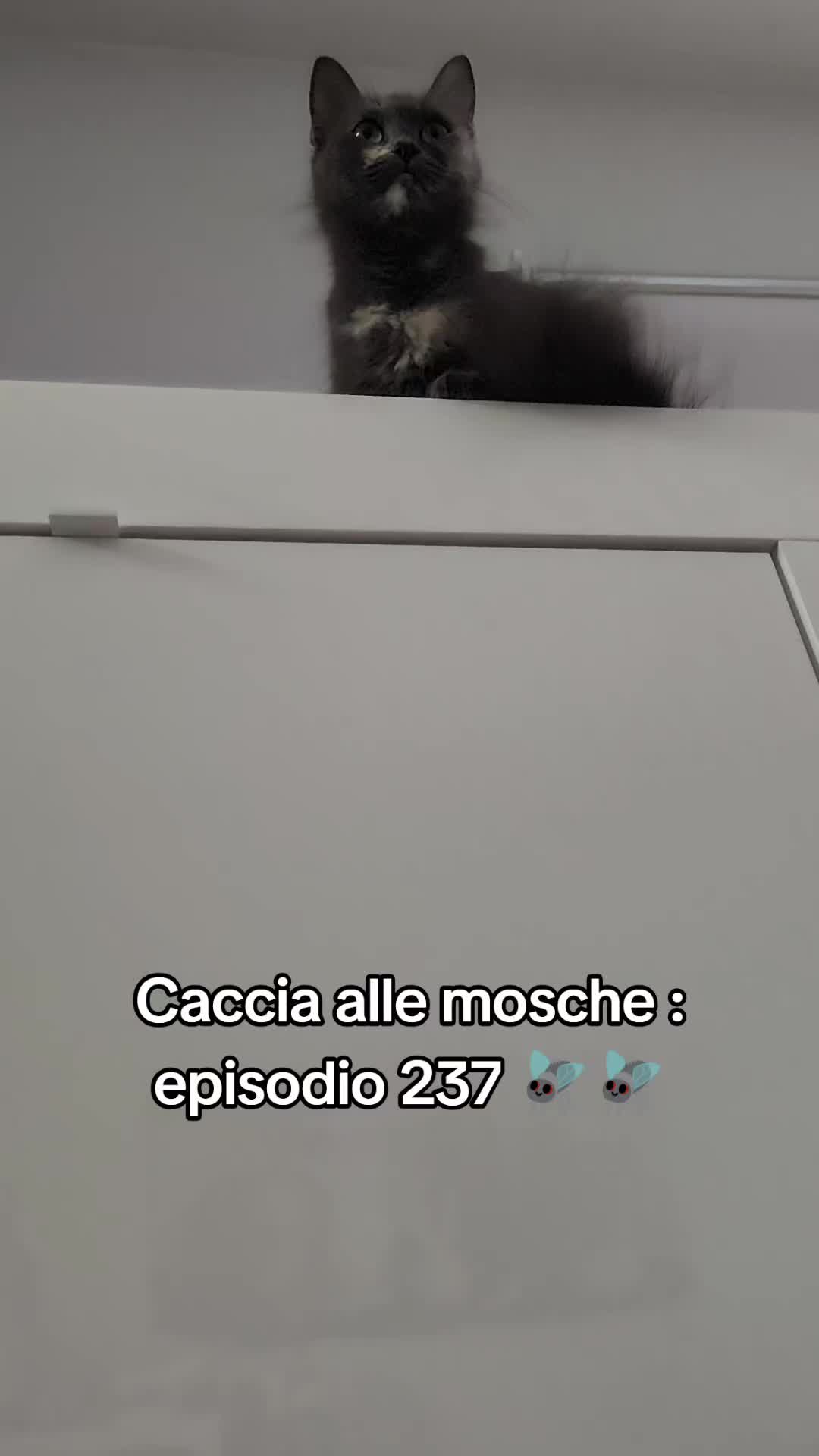 @Nina
