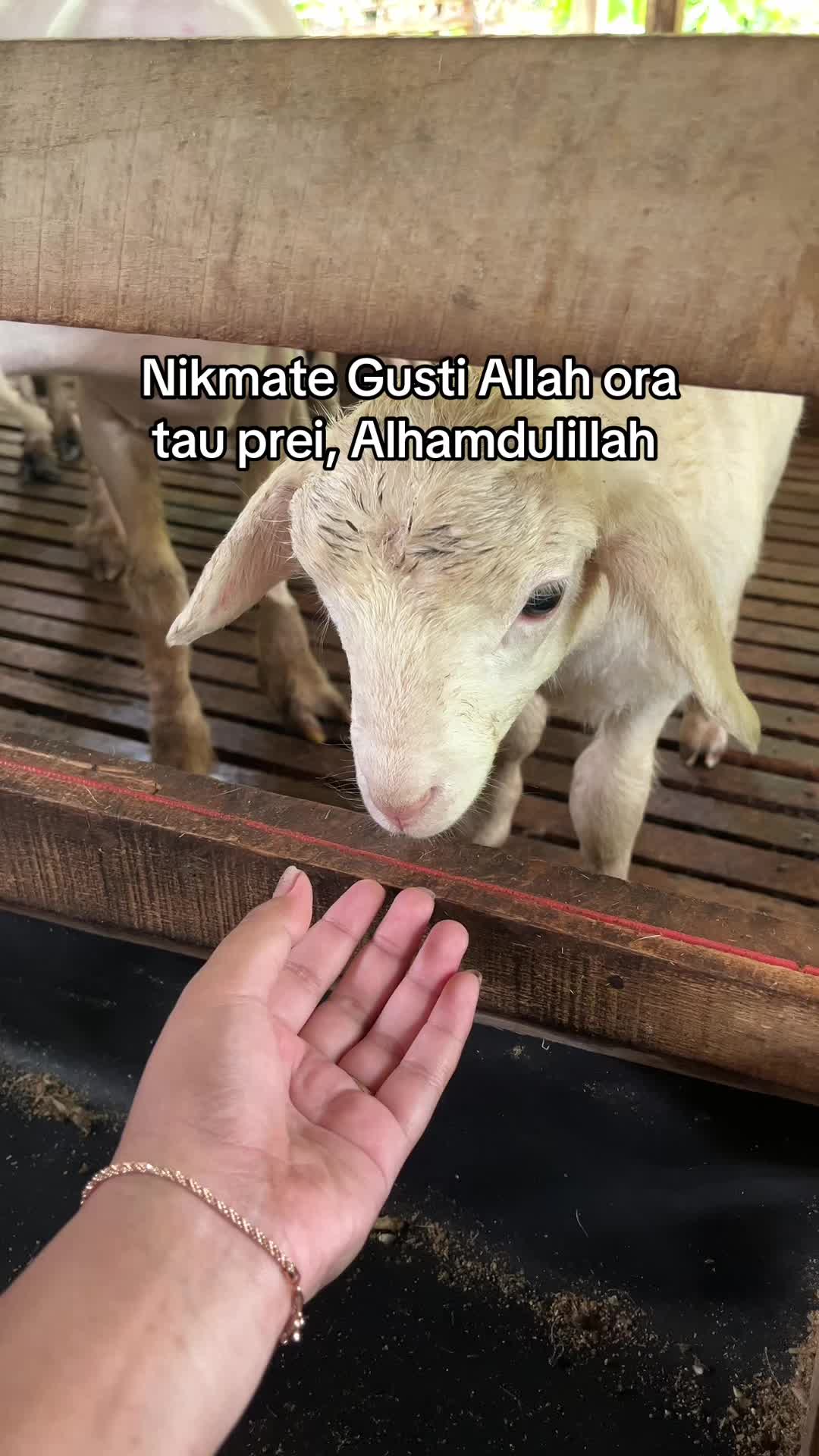 @DhanniaFarm