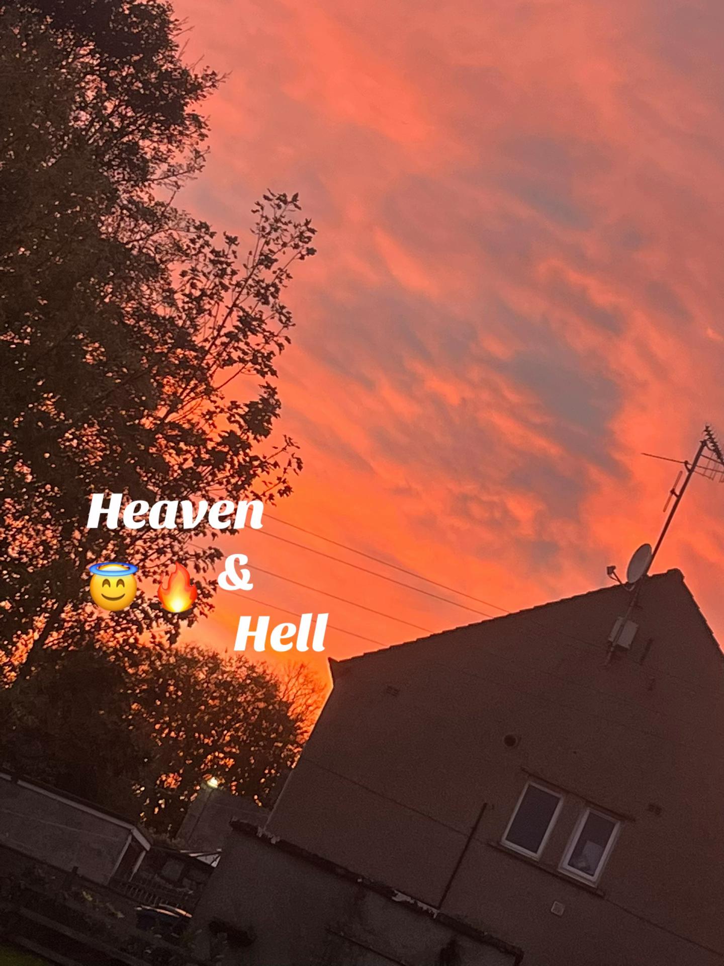 @𝐁𝐎𝐁𝐁𝐈𝐄 𝐇𝐎𝐋𝐌𝐄𝐒 🤍 x