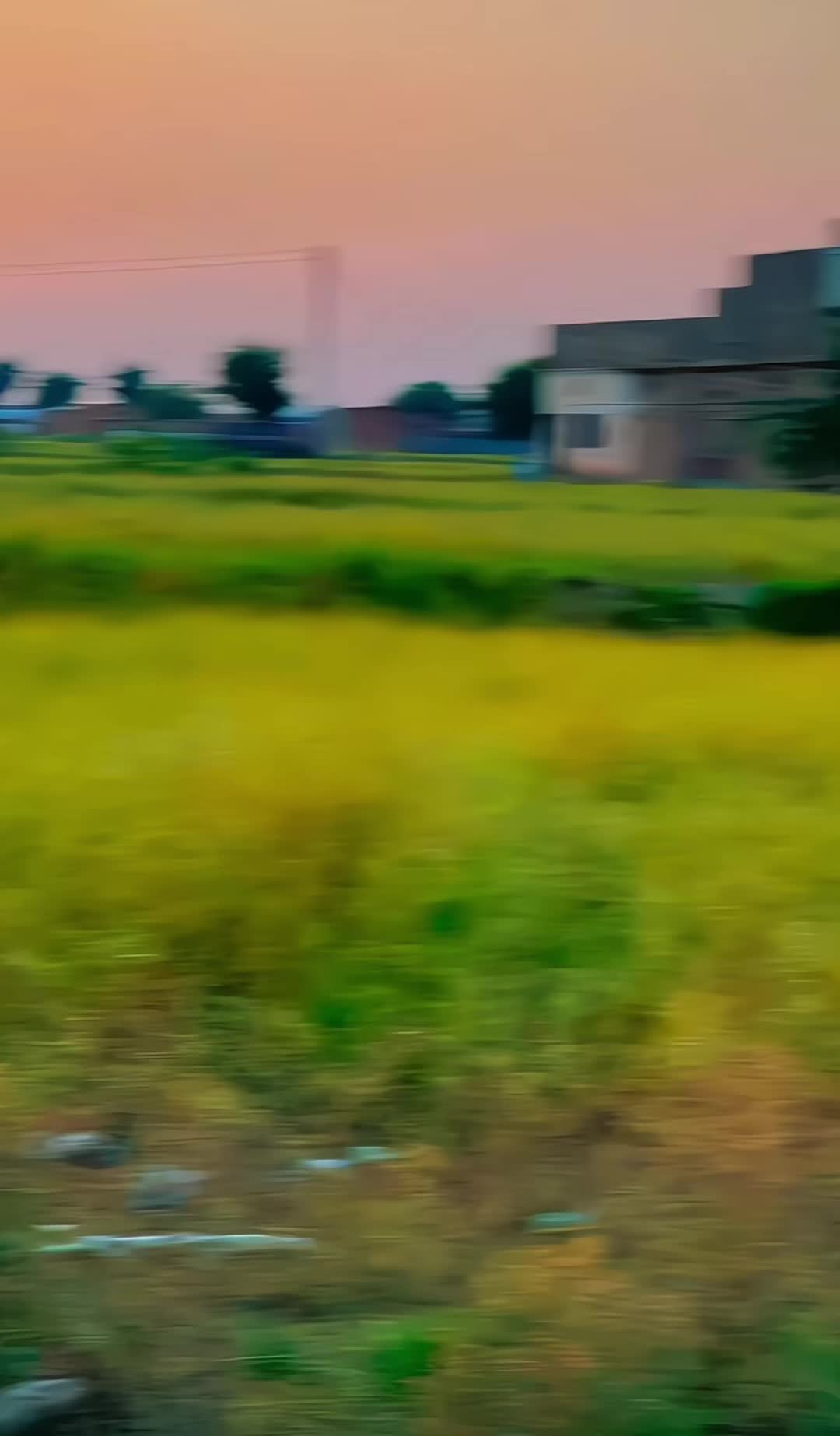 @🇩  🇦  🇳 🇮 🇸 🇭